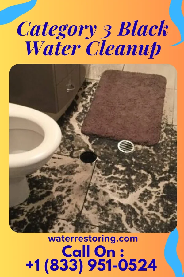 Category 3 Black Water Cleanup in Selma, TX