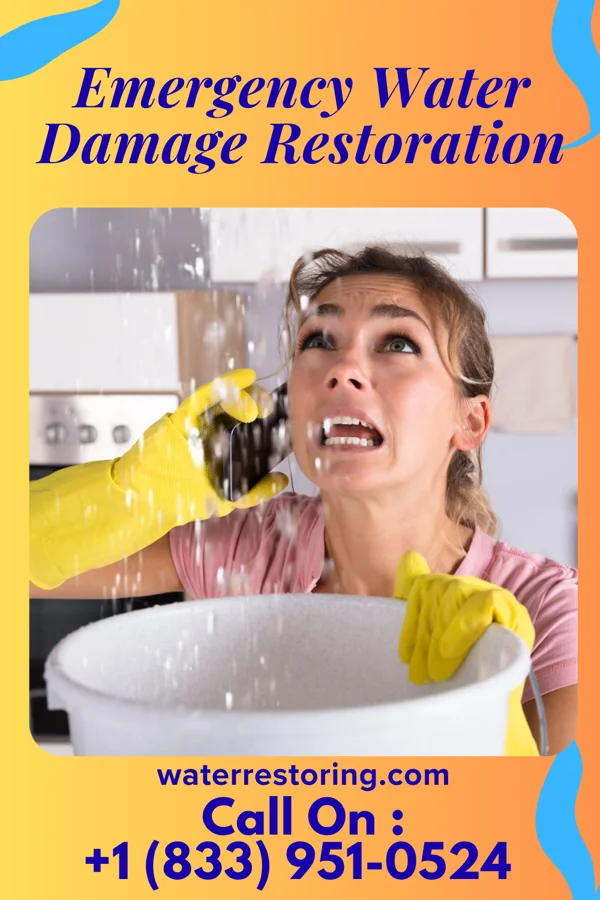 Emergency Water Damage Restoration in Selma, TX