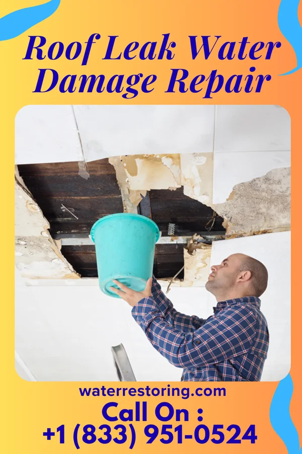 Roof Leak Water Damage Repair in Selma, TX